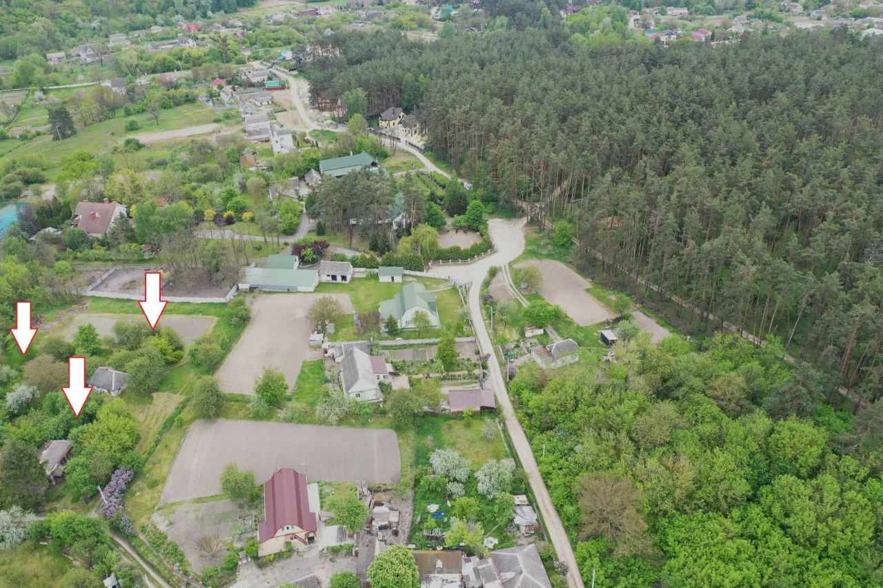 Васильків 46 соток поруч з лісом