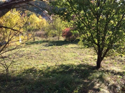 Продам дачну ділянку і 2 будинки-вагончик біля Василькова
