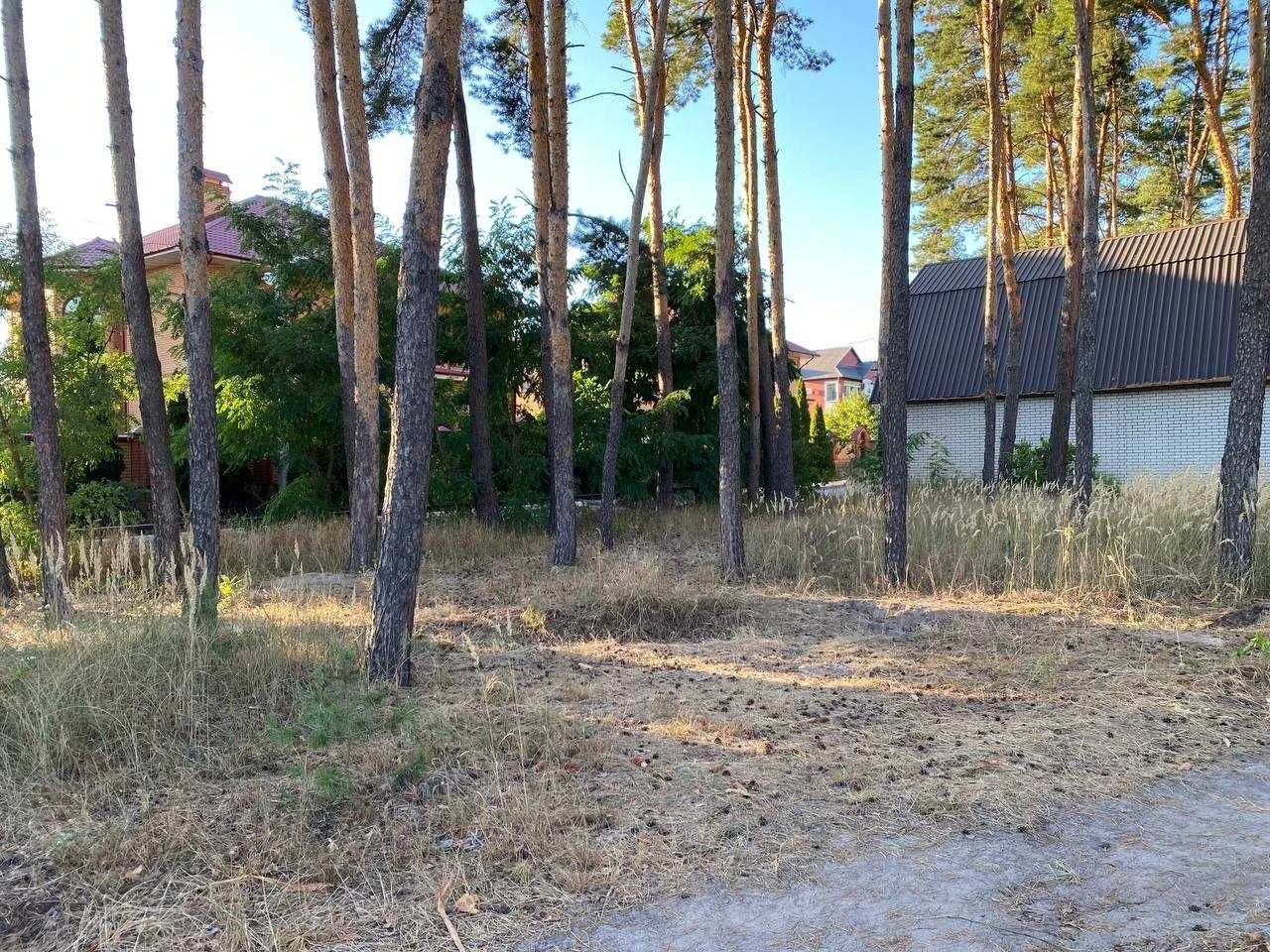 Земельна ділянка у Василькові в сосновому лісі (р-н "Хлібзав