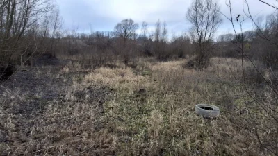 Продам земельну ділянку 18,5га.