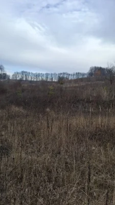 Продам земельну ділянку 18,5га.