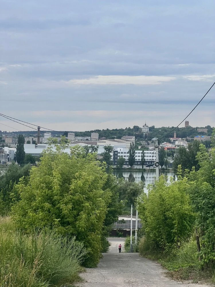 Видова ділянка Васильківські Карпати