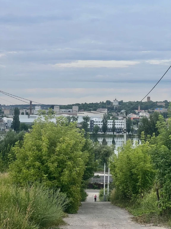Видова ділянка Васильківські Карпати