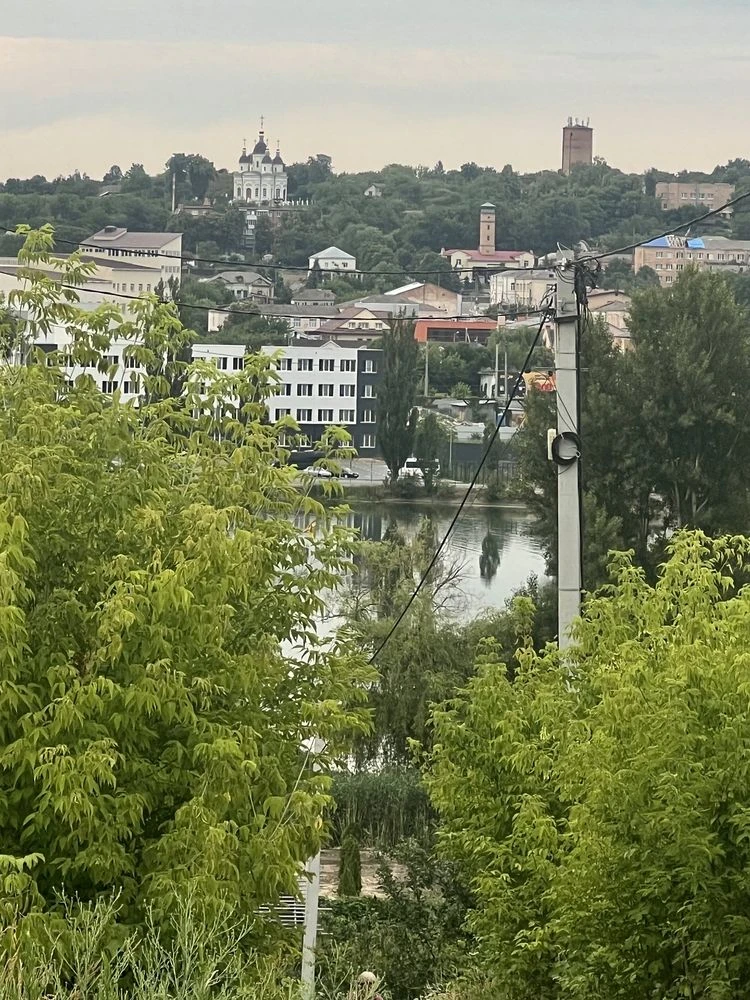 Видова ділянка Васильківські Карпати