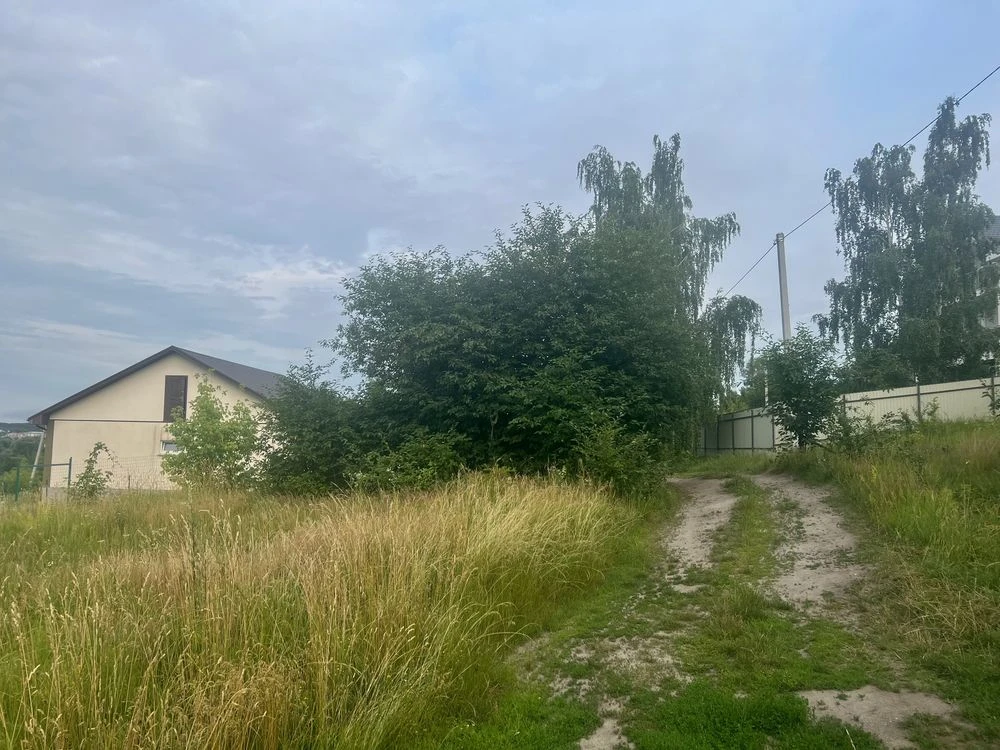 Видова ділянка Васильківські Карпати