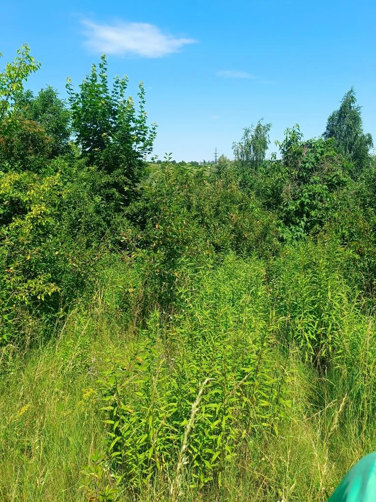 Продам земельну ділянку. Срочно
