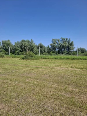 Продаж земельної ділянки в селі Нові Петрівці