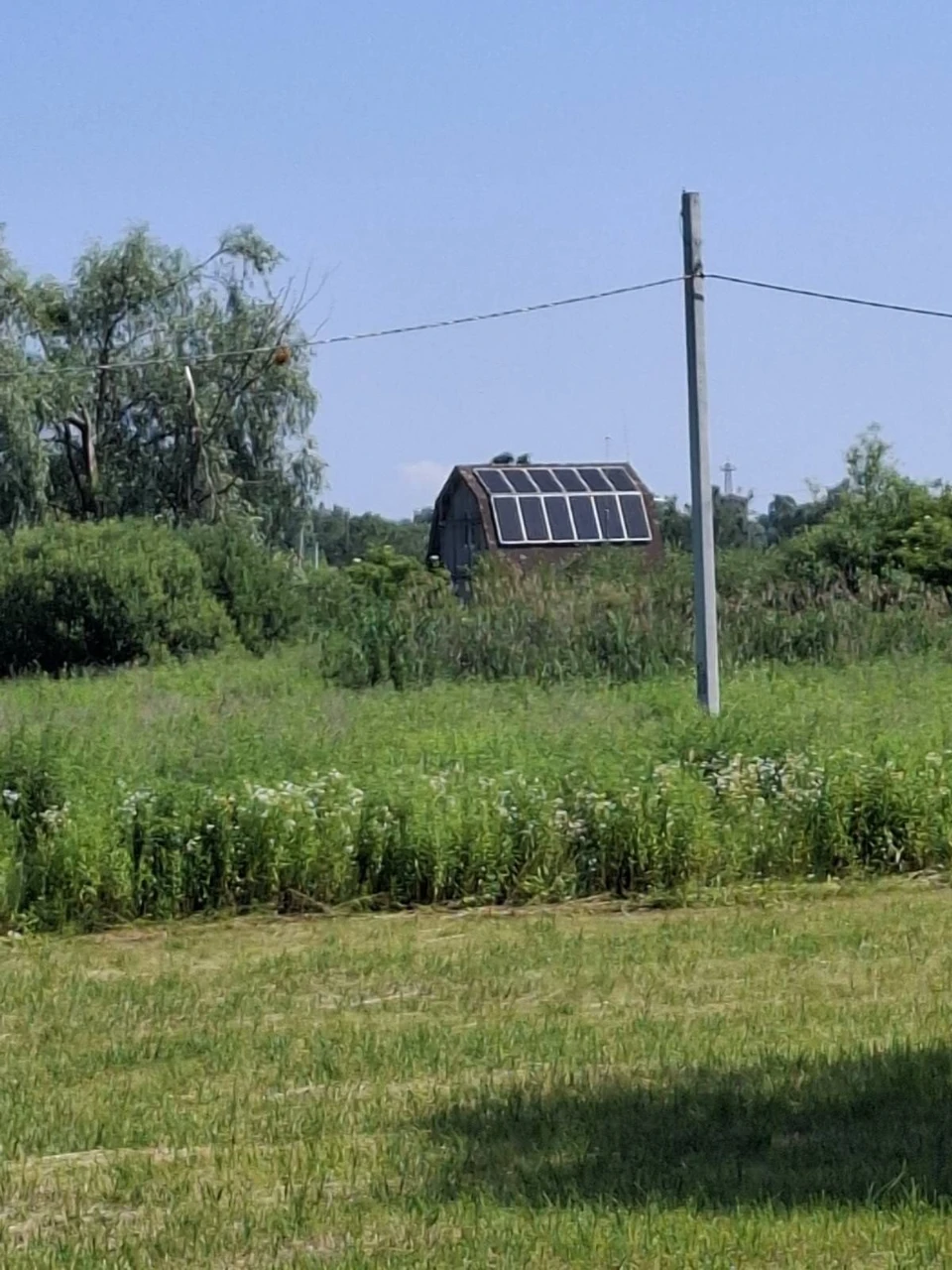 Продаж земельної ділянки в селі Нові Петрівці