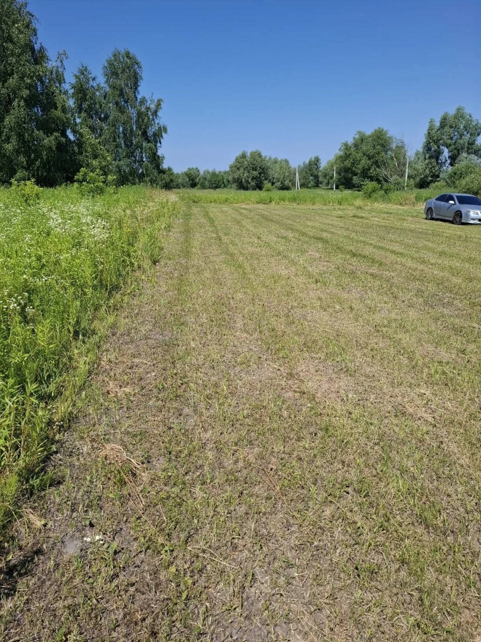 Продаж земельної ділянки в селі Нові Петрівці