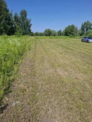 Продаж земельної ділянки в селі Нові Петрівці