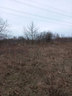 Вишгород, 12 соток, ОСГ