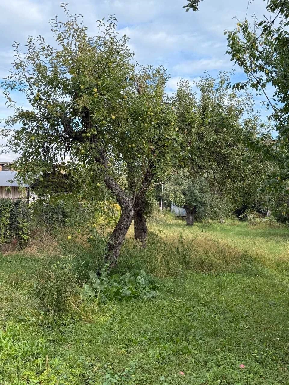 ПРОДАЖ земельної  ділянки Оболонь 5,7 соток, сад, до Дніпра