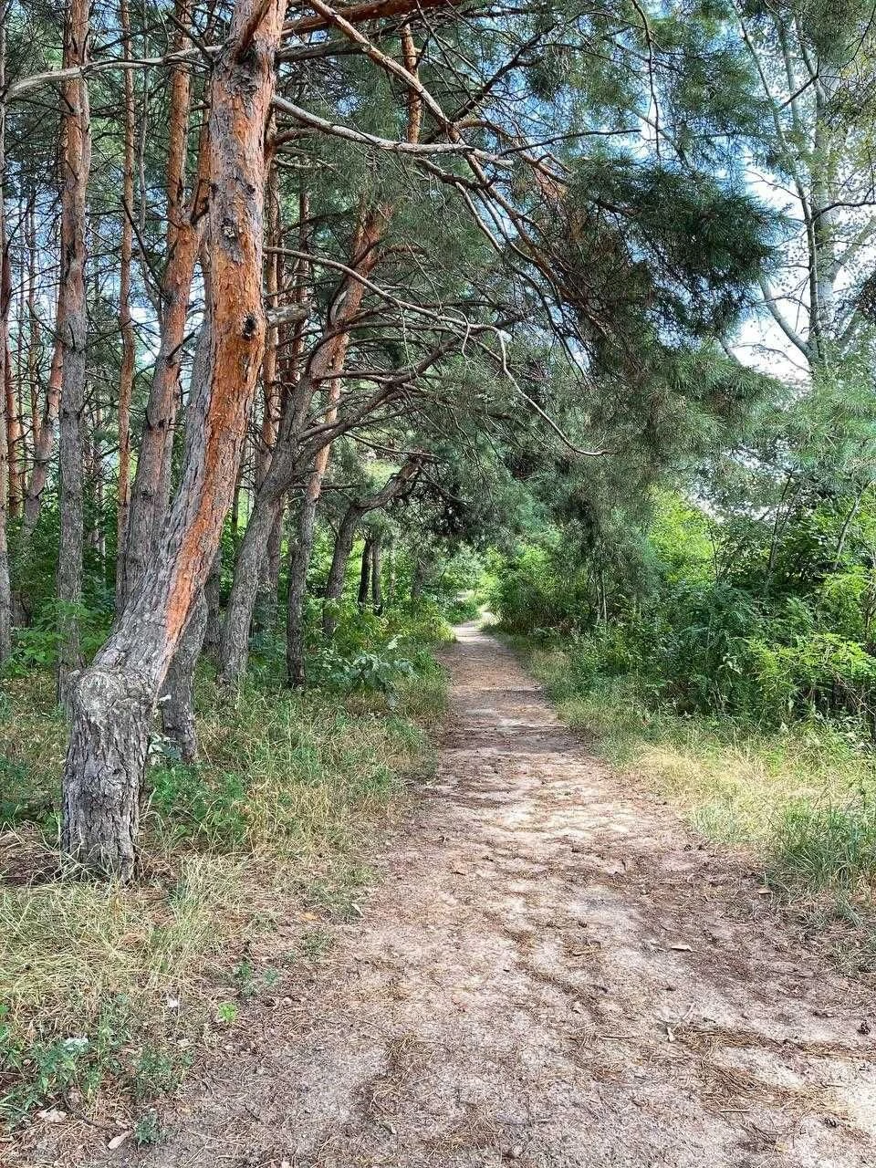 Продам власну земельну ділянку в м. Вишгород в 1-й лініі від