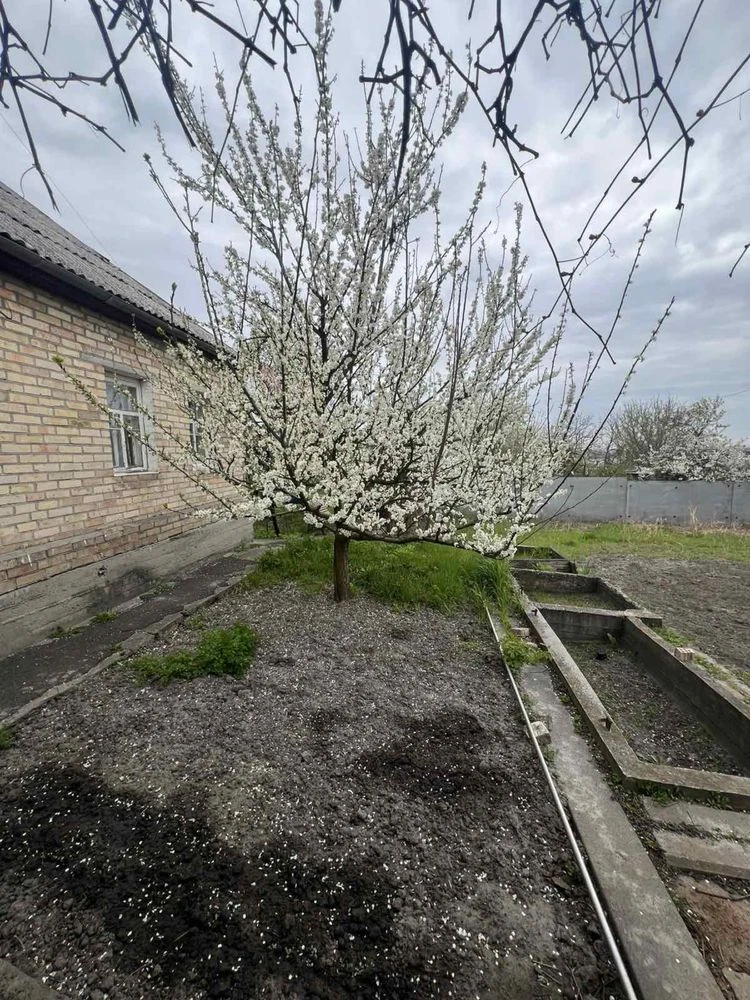 Продам ділянку з будинком в м Вишгород