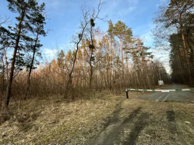 Ділянка. Вишгород,