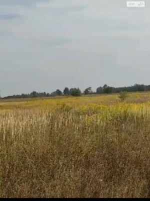 Продаж Земля сільськогосподарського призначення Вишгород
