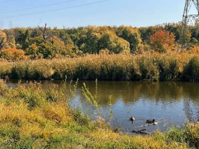 Продаж ділянки 60 соток - ОСГ. ДВОФАСАДНА. Біля Набережної.