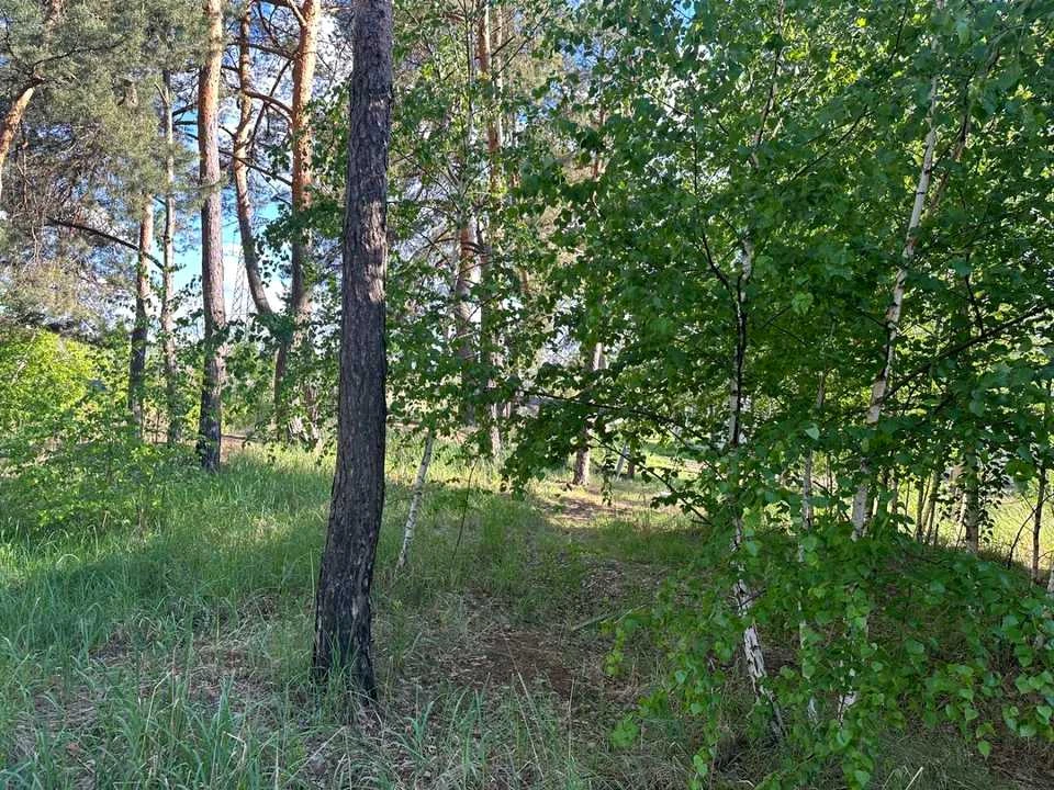 Ділянка. Ірпінь, Лугова вул.