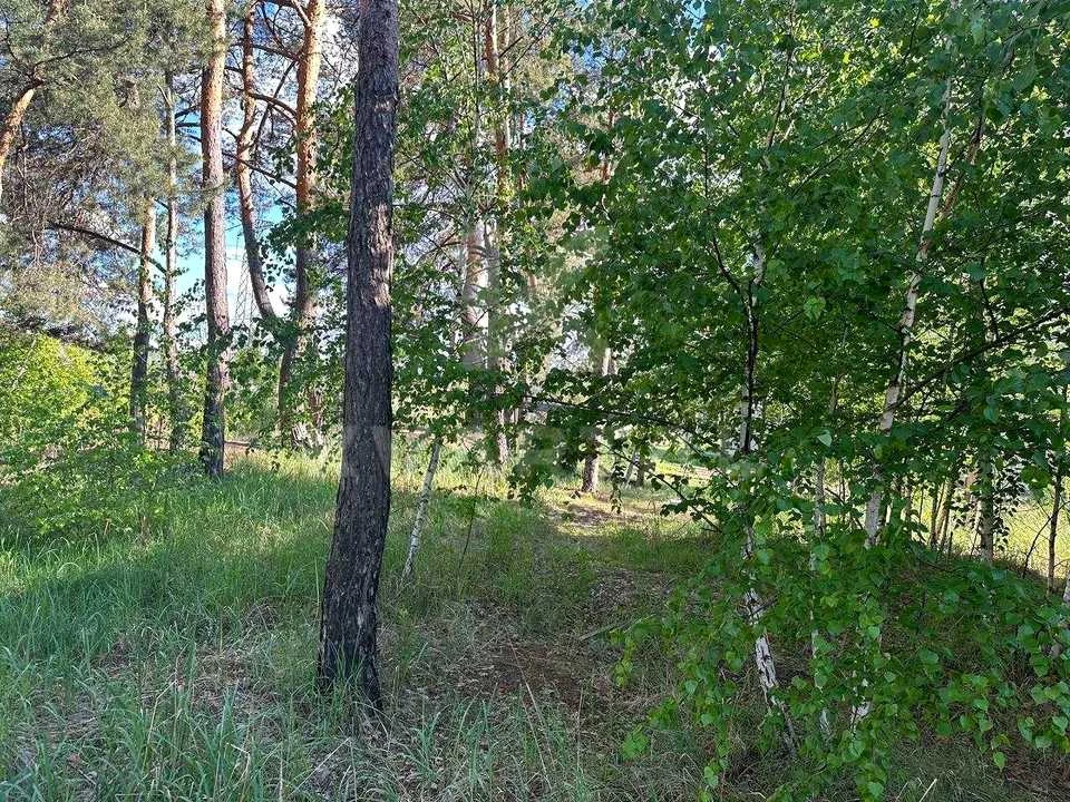 Ділянка. Ірпінь, Лугова вул.
