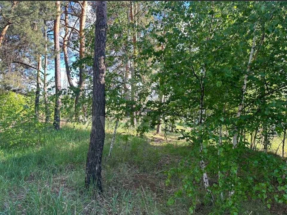 Ділянка. Ірпінь, Лугова вул.
