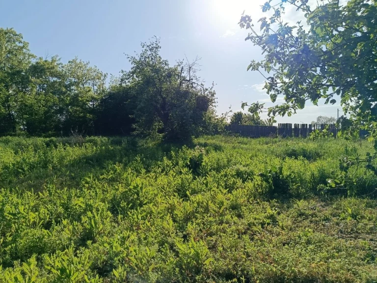 Земельна ділянка Ворзель 31 сотка