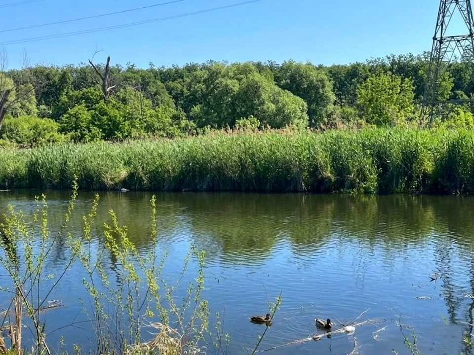 Ділянка. Ірпінь, Набережна