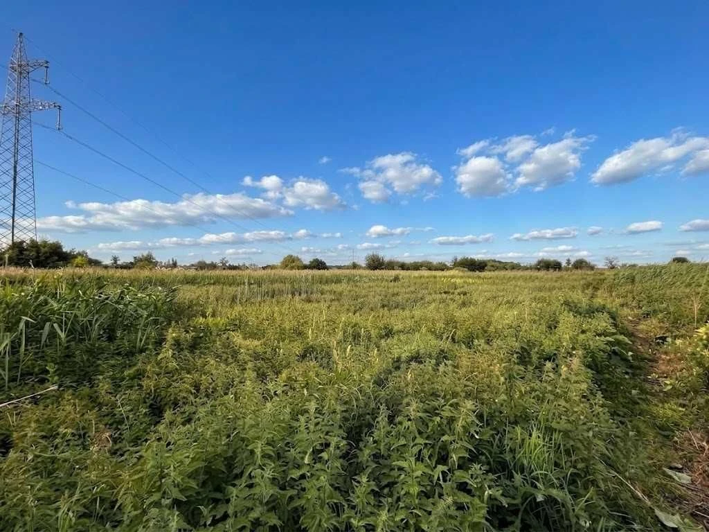 Продаж ділянки 6 соток під садівництво. Поруч річка і центр.