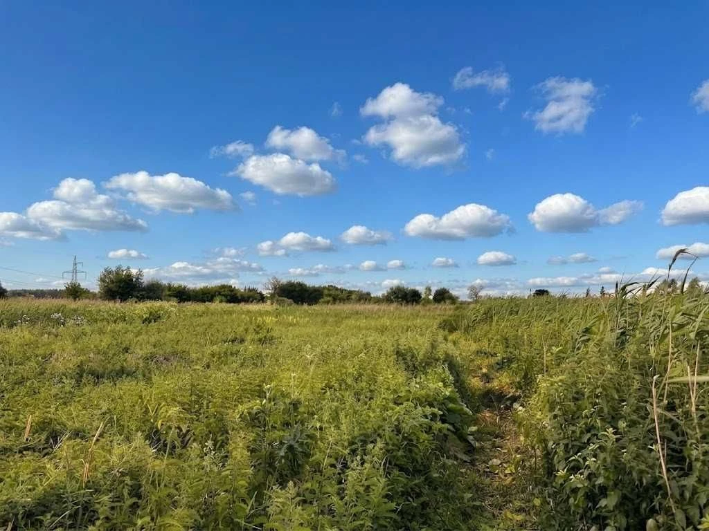 Продаж ділянки 6 соток під садівництво. Поруч річка і центр.