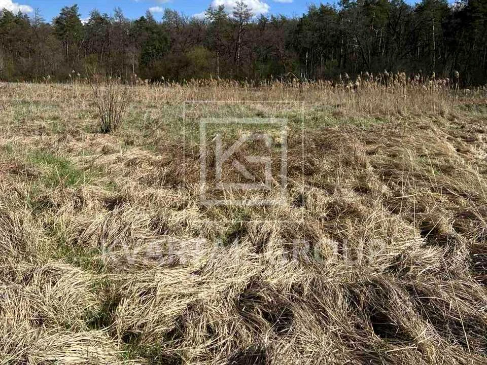 Ділянка. Ірпінь