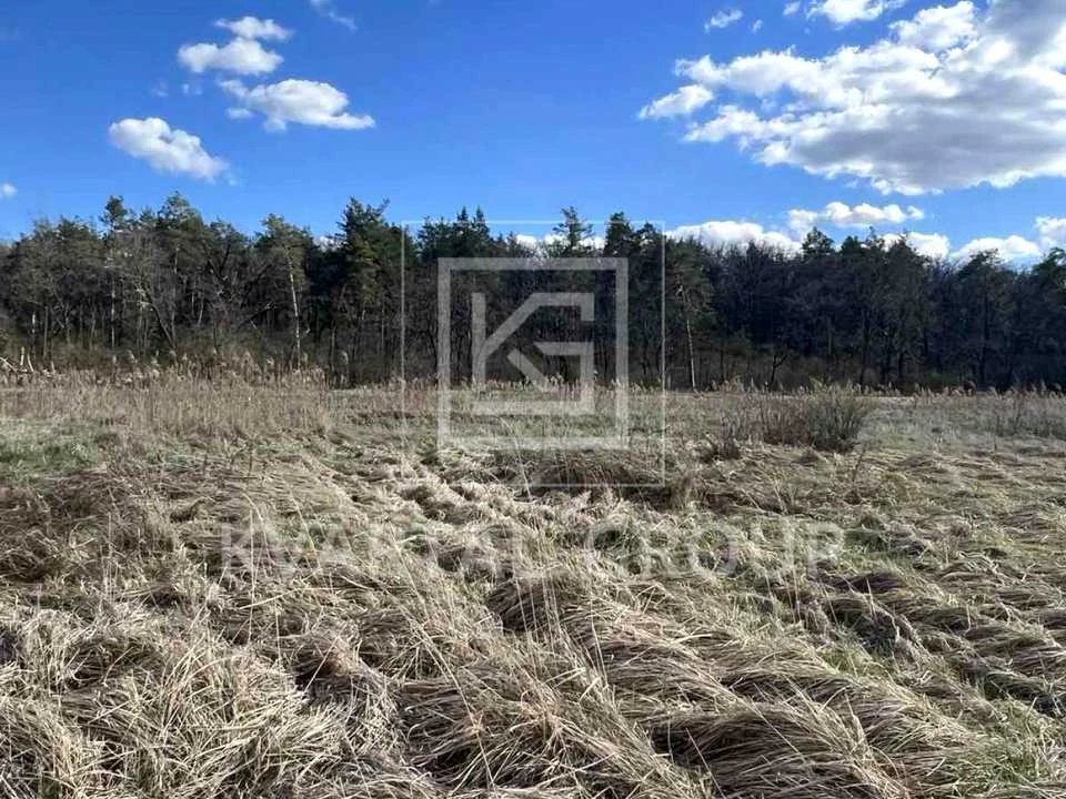 Ділянка. Ірпінь