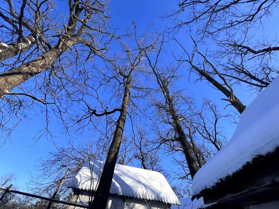 Ділянка. Ірпінь, Матвія Донцова вул.