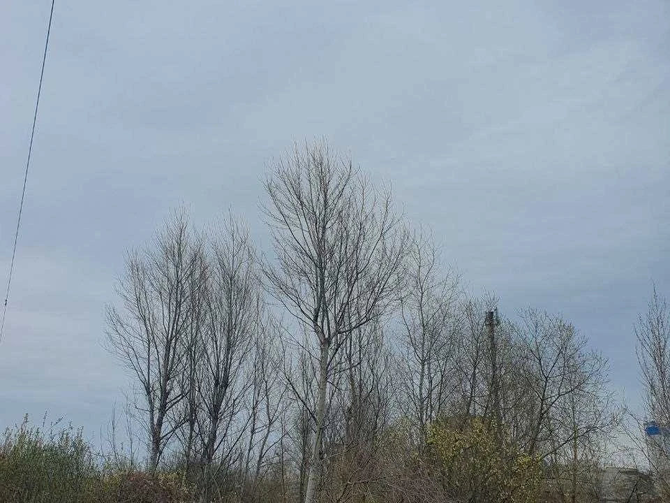 Ділянка. Ірпінь, Технологічна