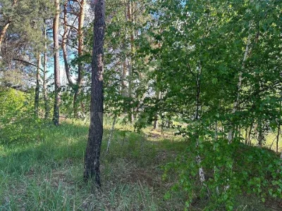 Ділянка. Ірпінь, Лугова вул.