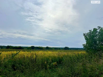 Продаж Земля сільськогосподарського призначення