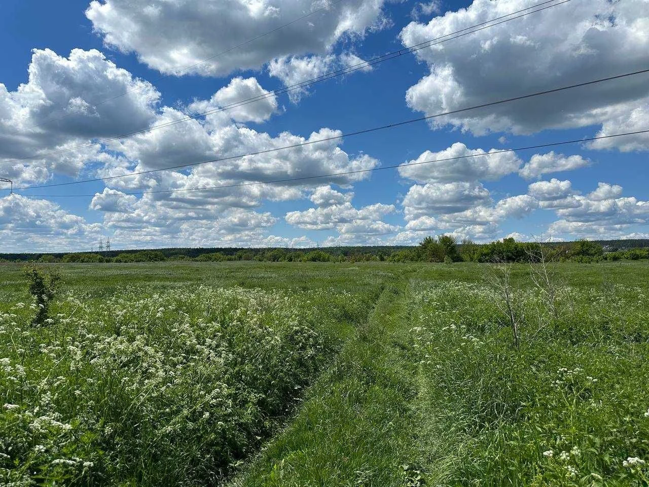 Продаж ділянки 57,82 соток - ОСГ. Біля річки Ірпінь. Зручний