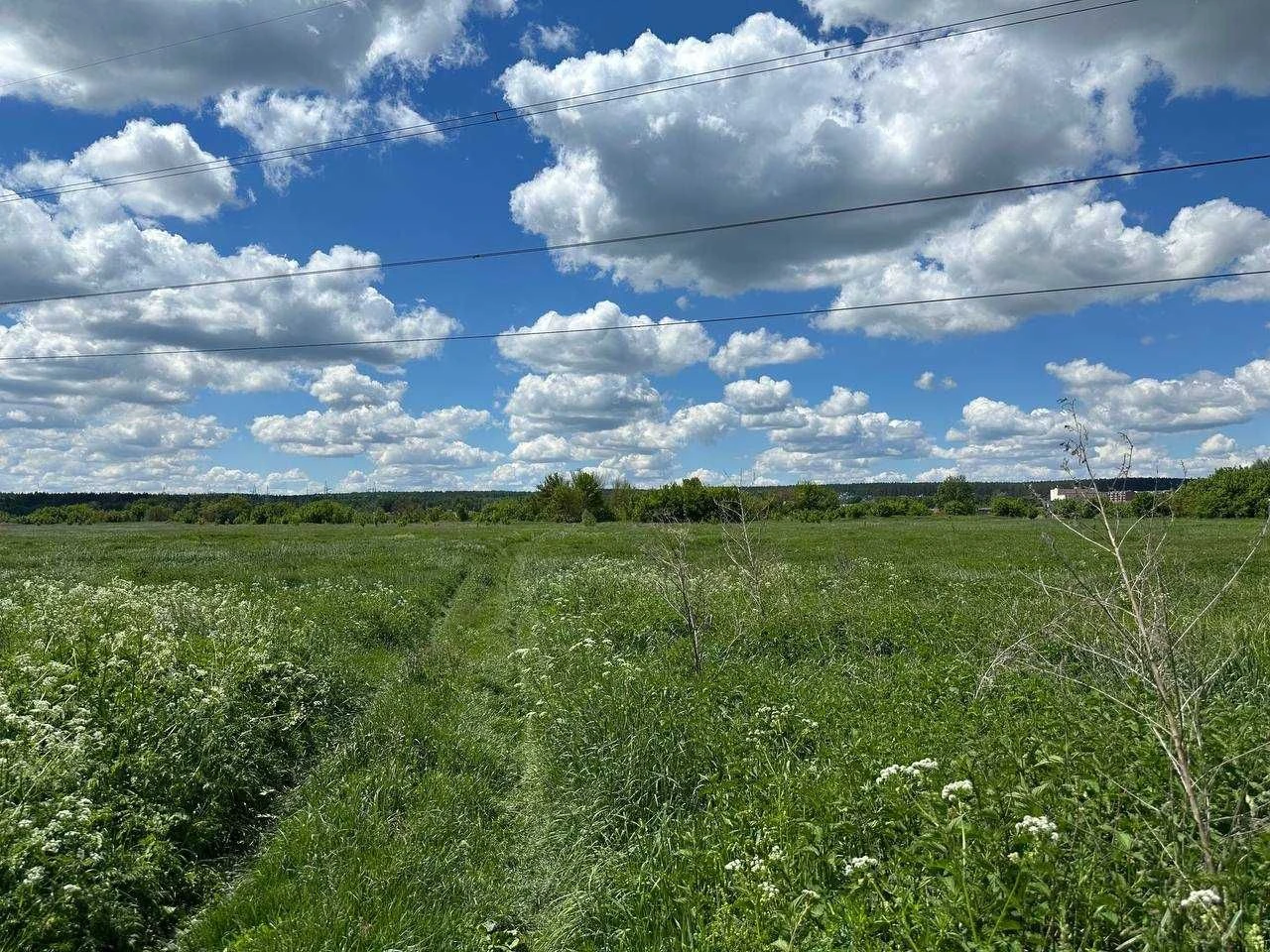 Продаж ділянки 57,82 соток - ОСГ. Біля річки Ірпінь. Зручний