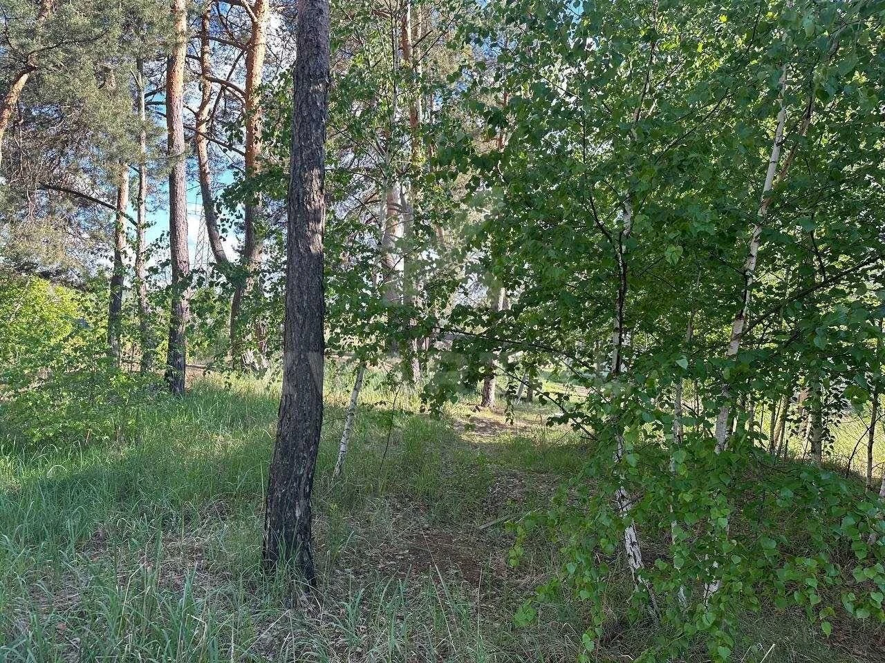 Продам землю 5 соток |Під будинок | Приватний сектор
