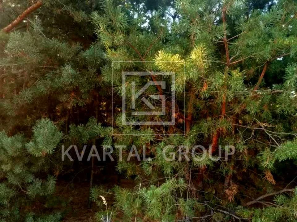 Ділянка. Ірпінь,