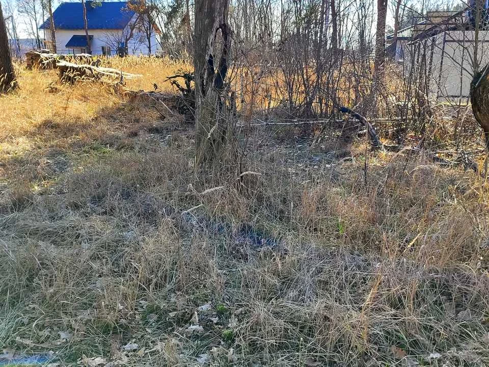 Ділянка. Ірпінь, Лугова вул.