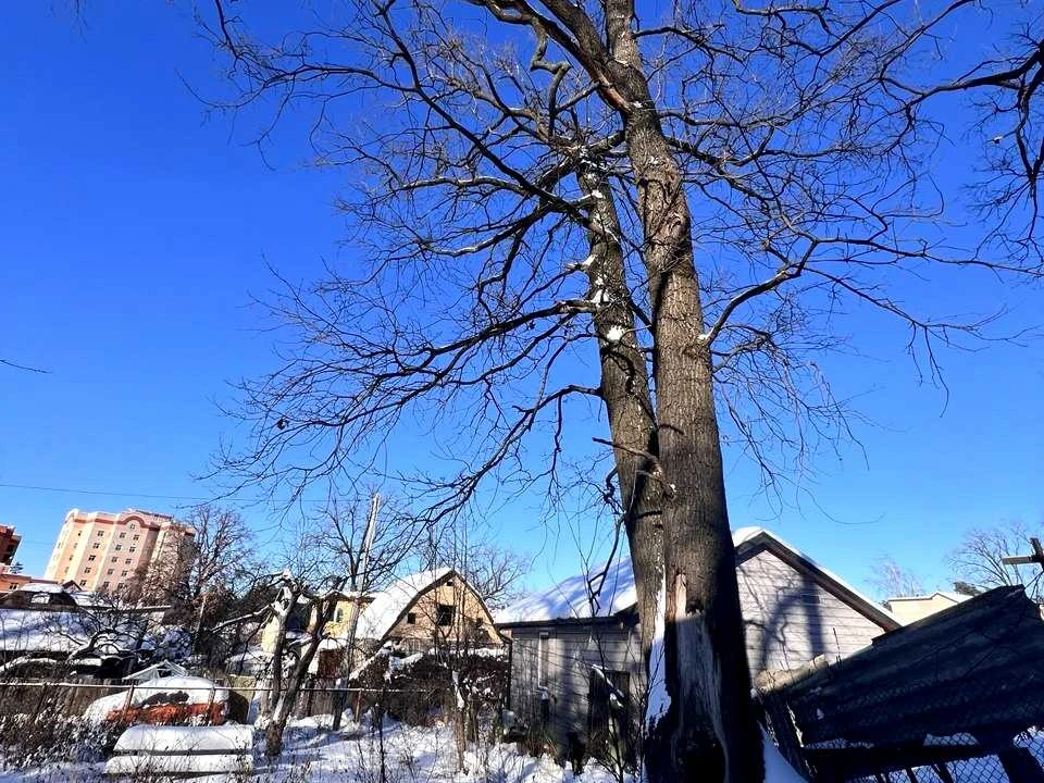 Ділянка. Ірпінь, Матвія Донцова вул. (Тургенєвська)