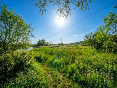 Ділянка. Ірпінь,