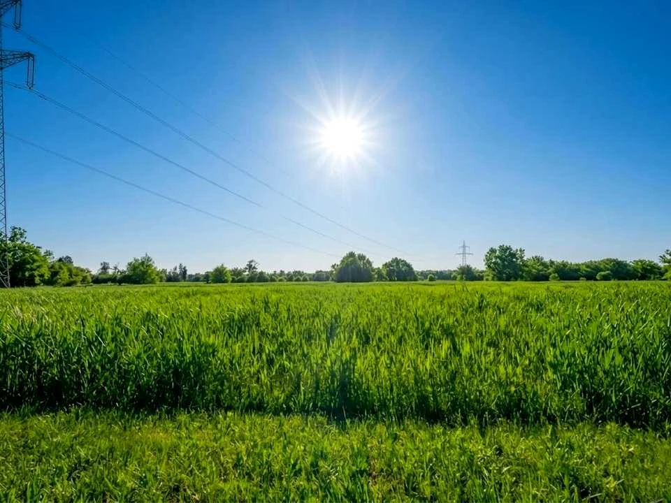 Ділянка. Ірпінь,