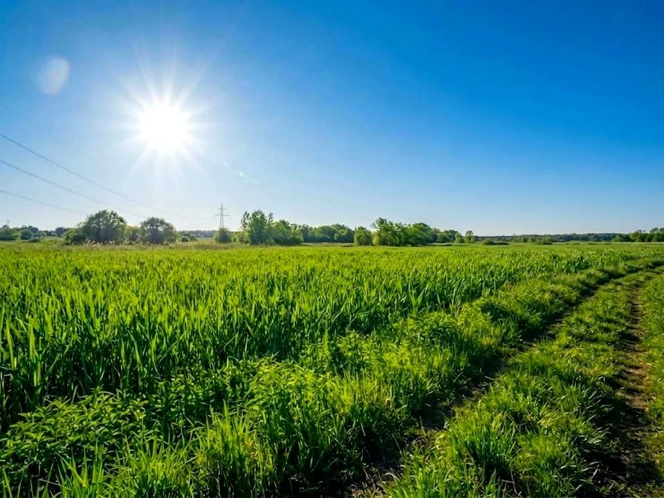Ділянка. Ірпінь,