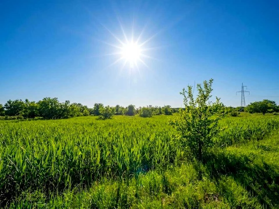 Ділянка. Ірпінь,