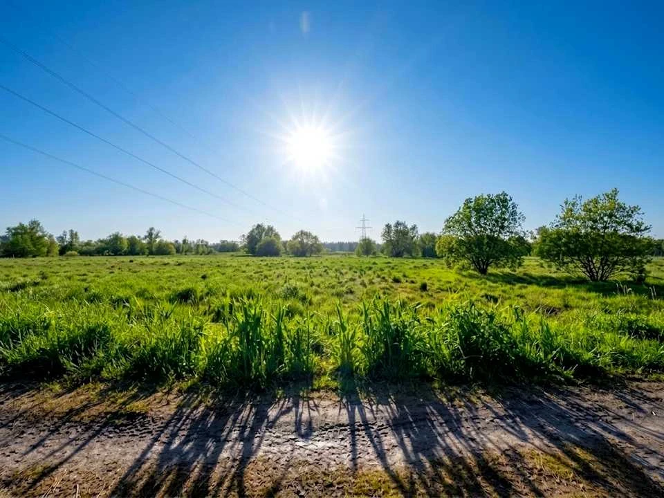 Ділянка. Ірпінь,