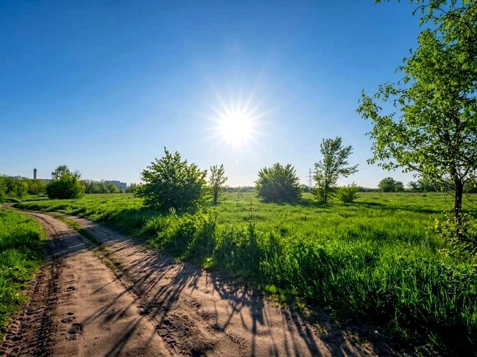 Ділянка. Ірпінь,