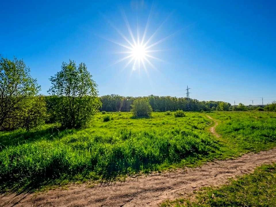 Ділянка. Ірпінь,