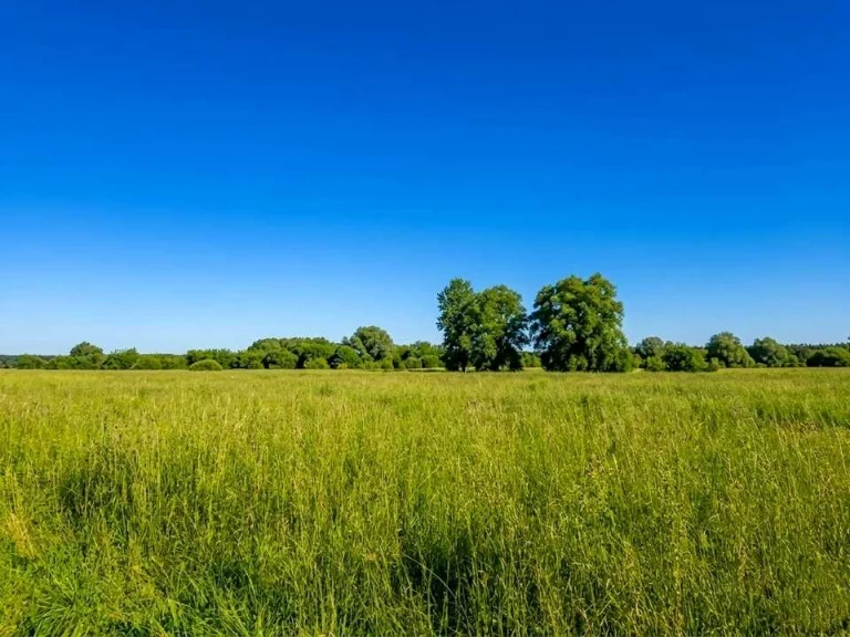 Ділянка. Ірпінь,