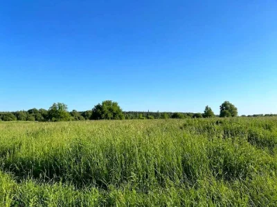 Ділянка. Ірпінь,
