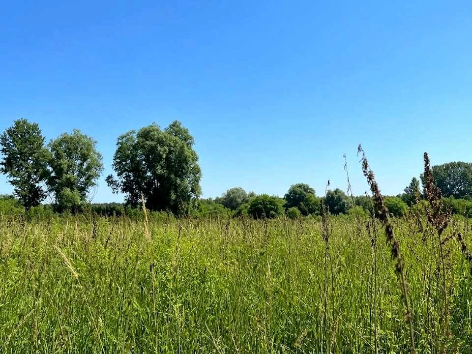 Ділянка. Ірпінь,